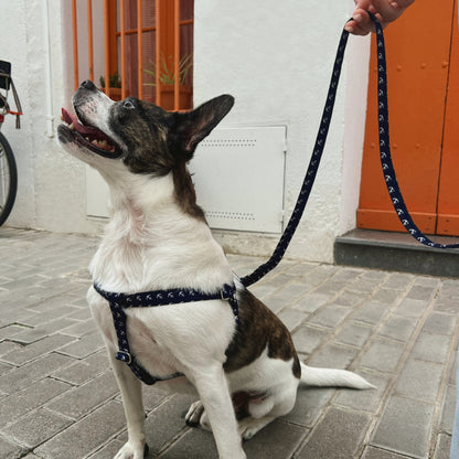 Harnais pour chien - Modèle ruban "Marins de la mer" 