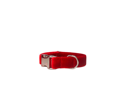 Conjunto paseo Perruno "Mi Terciopelo Rojo"