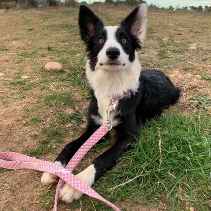 Correa para Perro "Rosa Vichy"