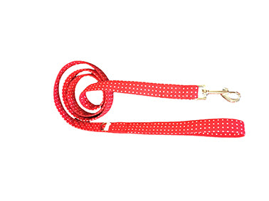 Conjunto paseo Perruno "Rojo Topitos"